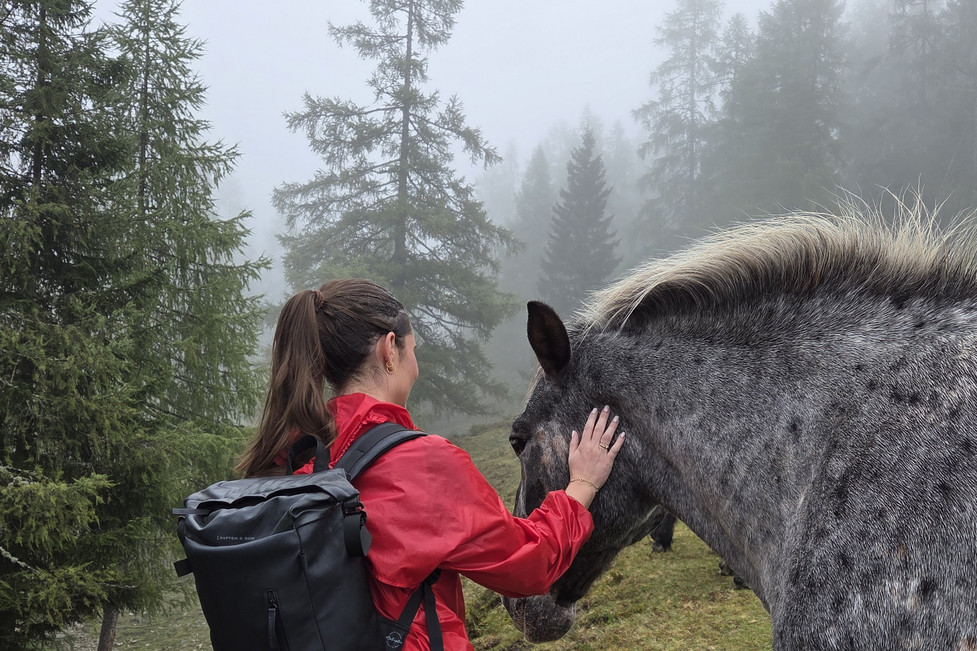 Clockodo-Mitarbeiterin mit einem Pferd in Österreich